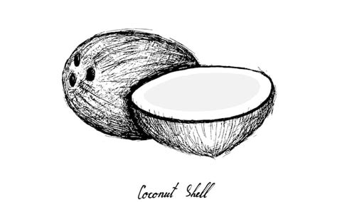 coconuts black - Clip Art Library