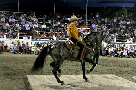 ¿Te gustan los shows de caballos bailadores? Tepic será sede de Copa Latinoamericana