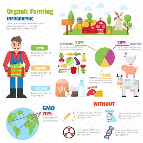 Organic farm infographic vector set ~ Illustrations ~ Creative Market