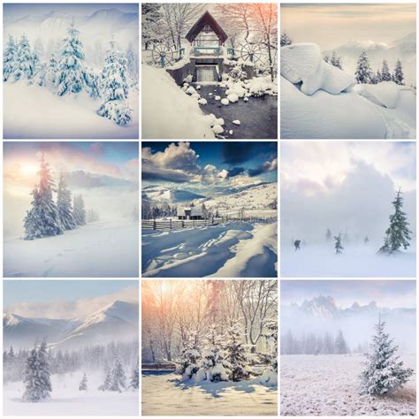 Winter Collage with 9 Square Christmas Landscapes. Stock Image - Image of landscape, color: 46973703