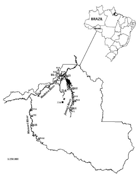 Map of the Madeira River basin illustrating the locations of the... | Download Scientific Diagram