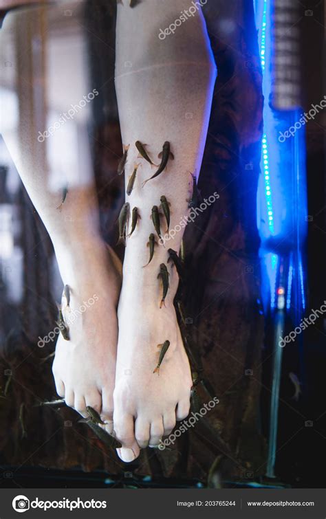 Pedicure Spa Fish Rufa Garra Fish Spa Treatment Close Selective Stock Photo by ©nenadovicphoto ...