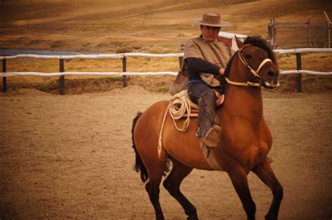 Estancia manantiales, demostración de rodeo huaso chileno, torres del Paine !!! | Fotos de ...