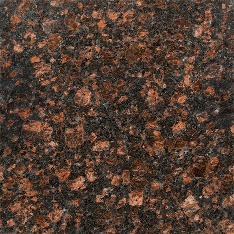 Tan Brown Granite Countertops (Pictures, Cost, Pros and Cons)