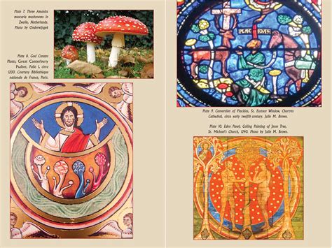 The Psychedelic Gospels | Book by Jerry B. Brown, Julie M. Brown | Official Publisher Page ...