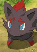 Zorua | Anime-Planet