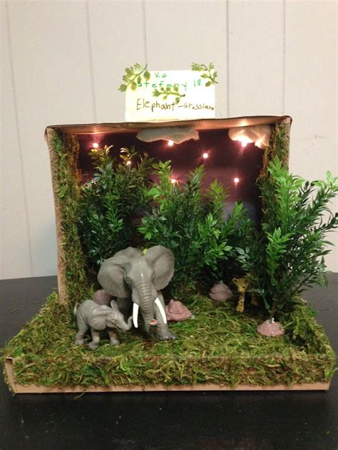 Elephant grassland habitat shoe box project | Habitats projects ...