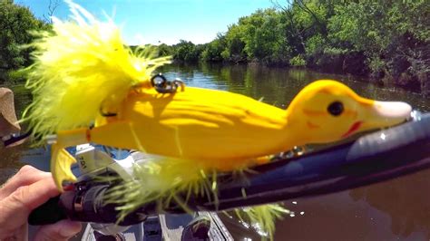 Fishing A Duck Lure For MONSTER Pike! – Bass Manager | The Best Bass Fishing Page On The Internet