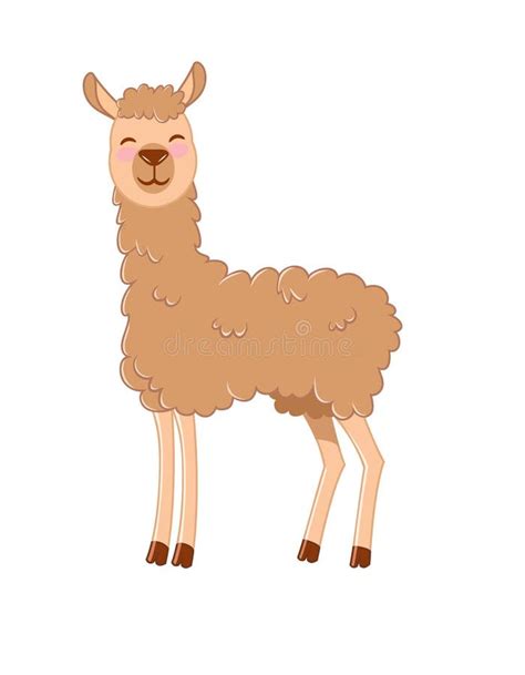 Cute Llama Facing Front. Llama, Vicuna, Huanaco -clip Art Stock Photo - Illustration of happy ...