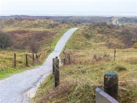 Discovering Schiermonnikoog National Park | What is there to see and do?