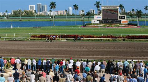 Gulfstream Park Racetrack & Casino - Miami Sports & Recreation🥯 ...