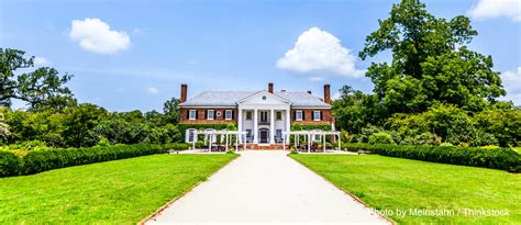 Three Charleston Plantation Tours That Let You Walk Through History