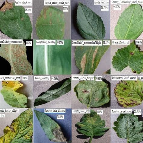 (PDF) Leaf Disease Detection Using Machine Learning