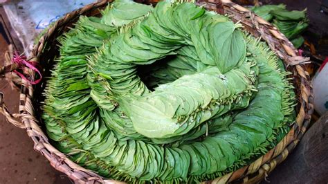 5 health benefits of betel leaf that make it 'paan'-tastic!