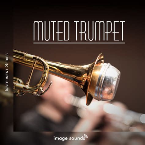 MUTED TRUMPET 1 | Image Sounds