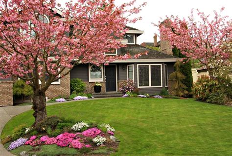 Trees add curb appeal and property value; so consider these best bets for trees to plant in your ...