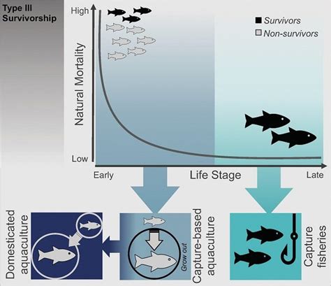 How can marine aquaculture help reduce the impacts of fishing?