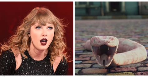 Taylor Swift’s “Me!” Music Video Reimagined Her “Reputation” Era Snake ...