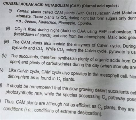 CRASSULACEAN ACID METABOLISM (CAM) (Diurnal acid cycle) : | Filo