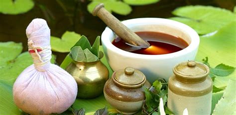 'Ayurveda is medicine with intelligence' - Rediff.com India News