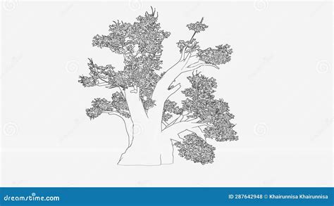 Baobab Tree Sketch and Hand Drawn Stock Illustration - Illustration of diagram, graphic: 287642948