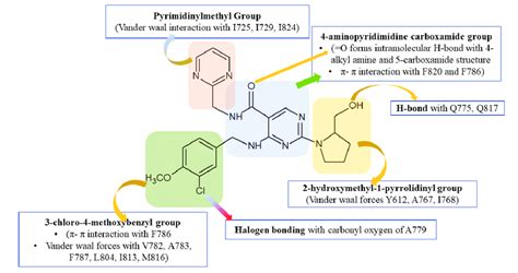 Mechanism of action of avanafil | Download Scientific Diagram