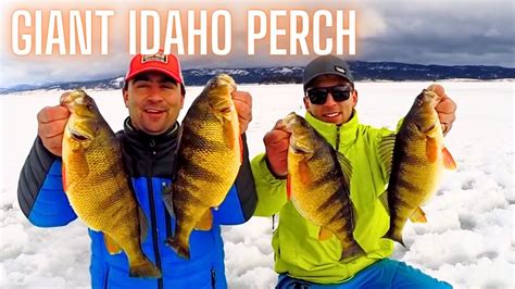 Cascade Lake Ice Fishing Giant Perch Outtakes - YouTube