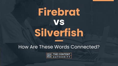 Firebrat vs Silverfish: How Are These Words Connected?