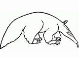 Dibujos De Aardvark Para Colorear E Imprimir – ColoringLib sketch template