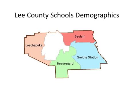 Lee County Schools Demographics