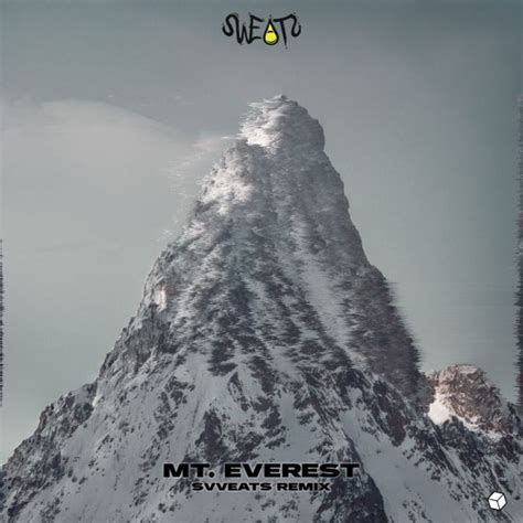 Stream Labrinth - Mount Everest (SVVEATS Remix) by SVVEATS | Listen ...