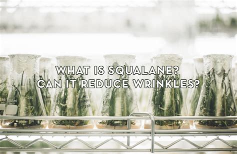 Squalane to Reduce Wrinkles? – Sonage Skincare