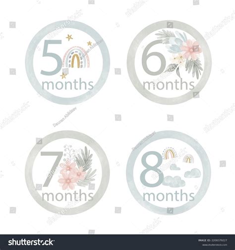 Watercolor Baby Milestone Template Vector Illustration Stock Vector ...