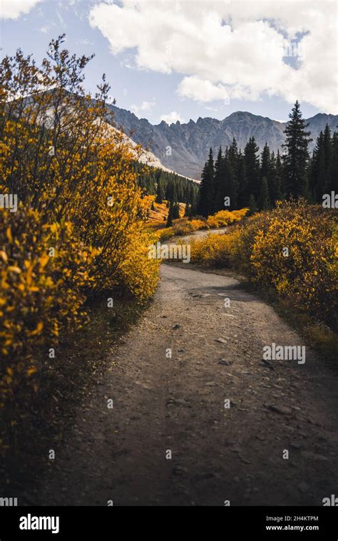 Fall foliage in the mountains Stock Photo - Alamy