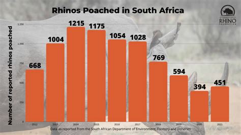 Poaching In South Africa Increased By 15% In 2021 After Covid Restrictions Are Lifted ...