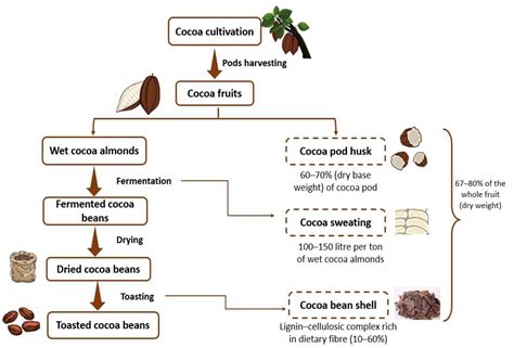 Antioxidants | Free Full-Text | Cocoa Bean Shell: A By-Product with High Potential for ...