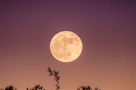 Moonrise 1080P, 2K, 4K, 5K HD wallpapers free download | Wallpaper Flare