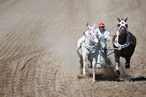 BRIANA SCROGGINS: Chariot Racing