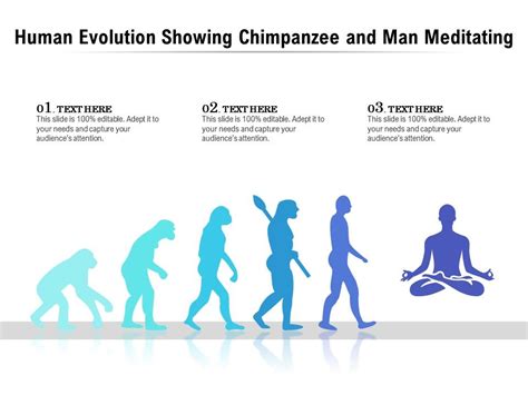 Human Evolution Showing Chimpanzee And Man Meditating | PowerPoint Slides Diagrams | Themes for ...