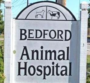 Bedford Animal Hospital, LLC | Better Business Bureau® Profile