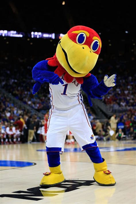 kansas university mascot - Google Search | Kansas | Pinterest