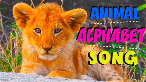 ANIMAL ALPHABET SONG | KIDS ABC A-Z Animals - YouTube