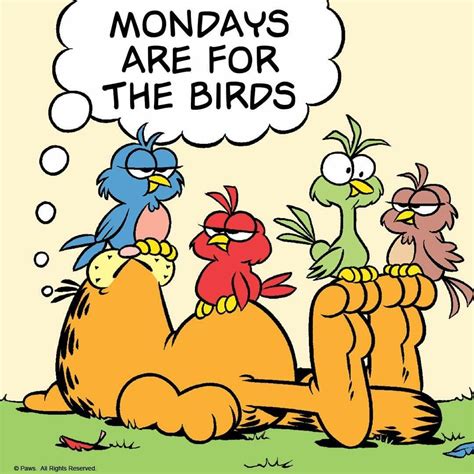 Mondays are for the birds...vultures. | Morning quotes funny, Good morning funny pictures ...