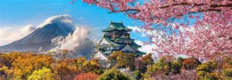 THE TOP 15 Things To Do in Japan, | Attractions & Activities