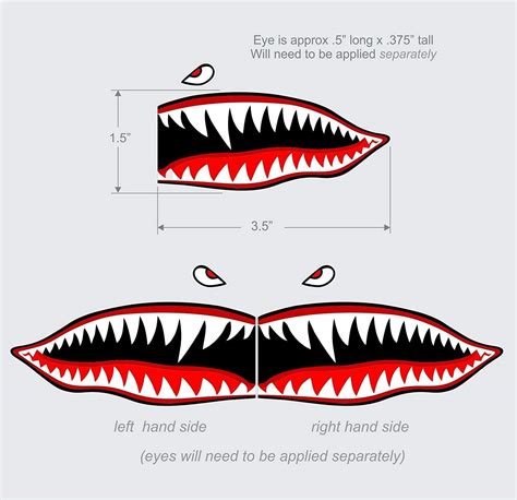 Buy COLIBYOUCOLIBYOU Flying Tigers Shark Teeth Decal Sticker 1.5" T X 3 ...