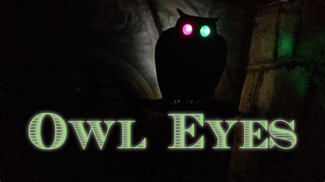 Owl Eyes - YouTube