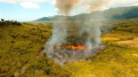 70+ Deforestation In The Philippines Stock Videos and Royalty-Free Footage - iStock