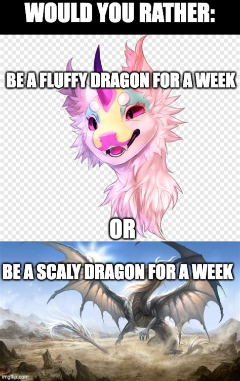 Fluffy_dragons Memes & GIFs - Imgflip