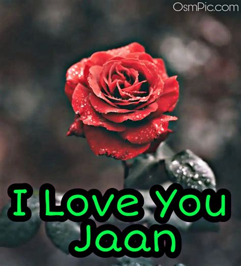 Top 50 I Love You Janu Status Images Pics With I Love You Jaan Photos