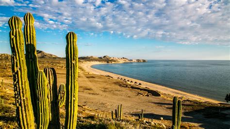 Visita la Catedral de Hermosillo en el estado de Sonora - Las mejores playas de Mexico Articulos ...